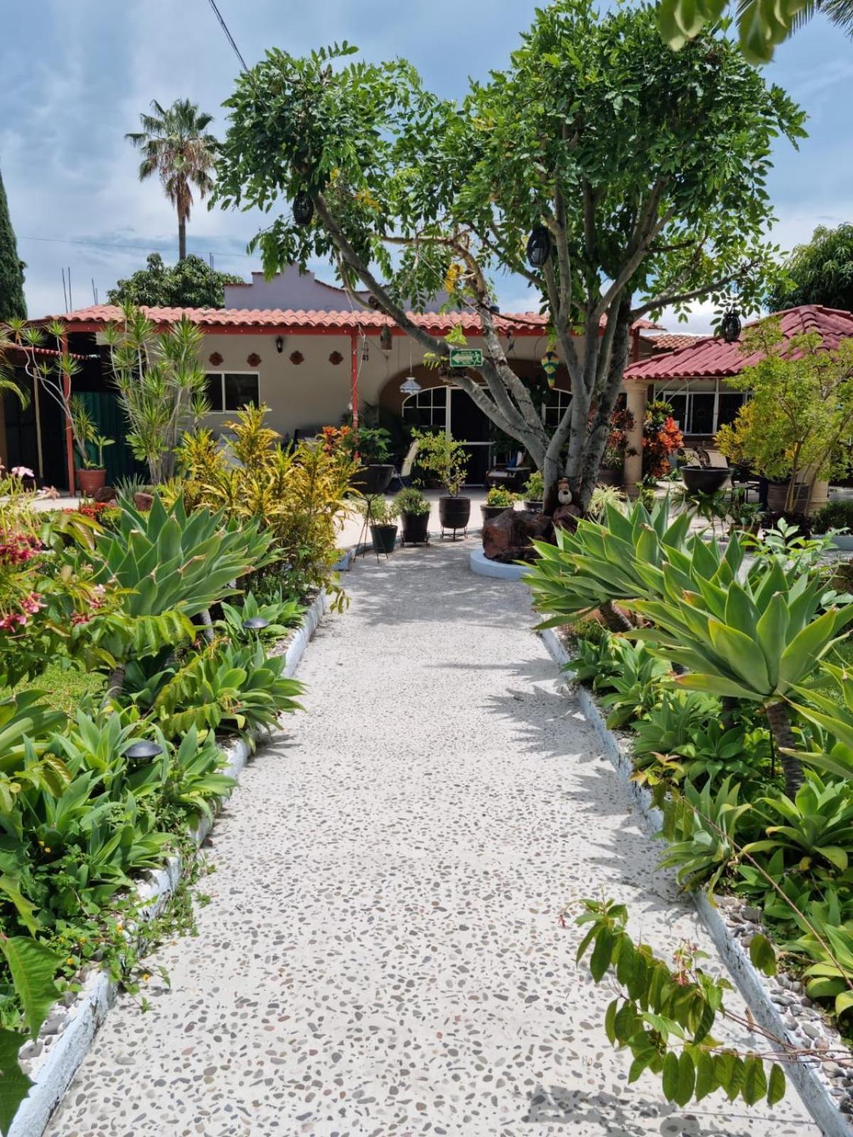 Casa De La Abuela Bed & Breakfast Ахихик Екстериор снимка